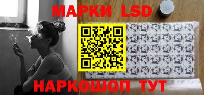 a pvp Новодвинск
